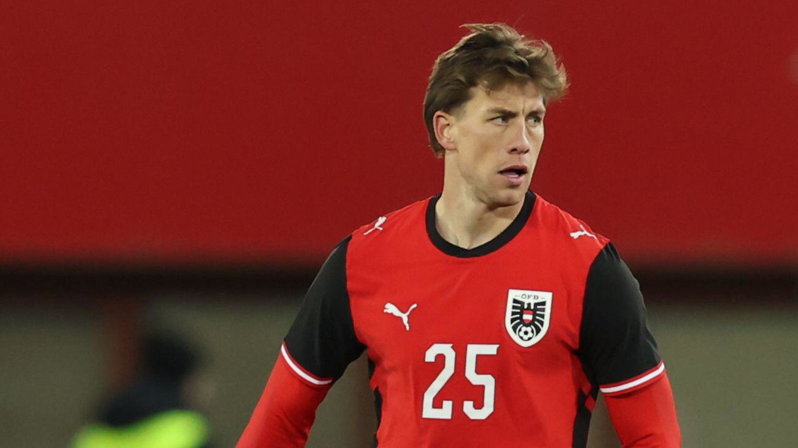 Brighton Complete Signing of Michael Svoboda from Venezia